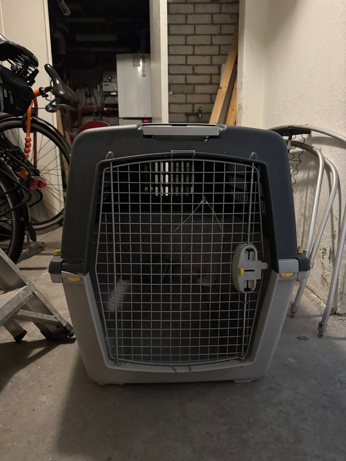 Kunststoffen Reisbench Grote Hond, Ophalen, Zo goed als nieuw