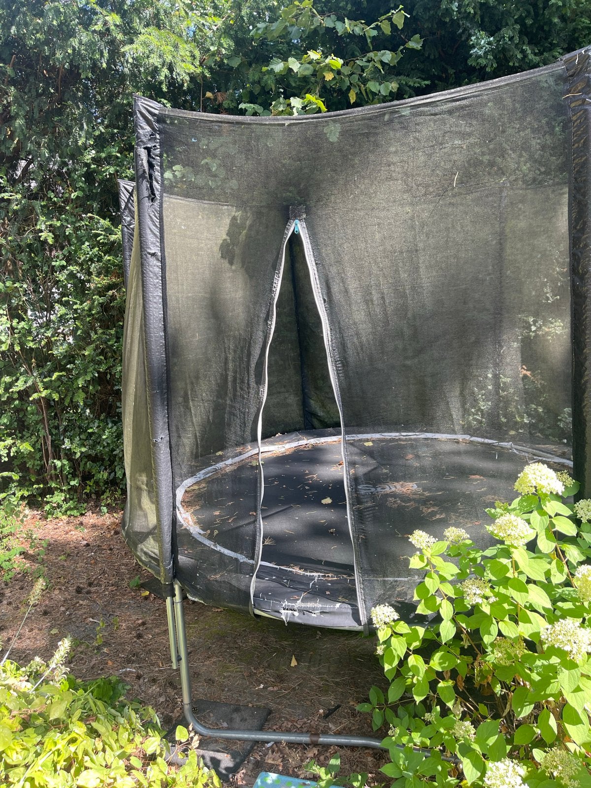 Gratis: Salta Trampoline met veiligheidsnet, Ophalen, Gebruikt