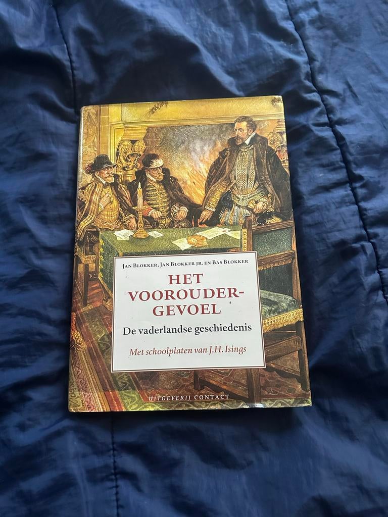 Het Vooroudergevoel - De vaderlandse geschiedenis, Boeken, Ophalen of Verzenden, 20e eeuw of later, Gelezen
