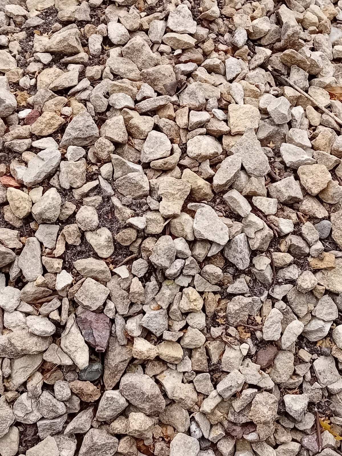 gratis afhalen beige siergrind, Tuin en Terras, Ophalen, Beige, Grind