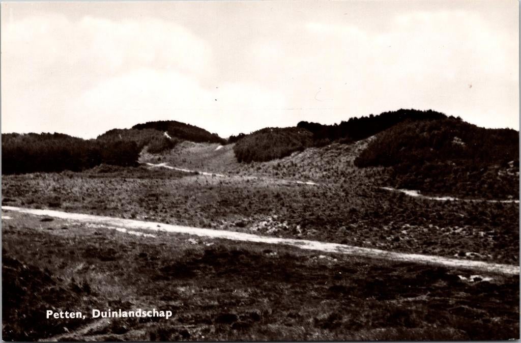 Petten - Duinlandschap, Verzenden, 1940 tot 1960, Ongelopen, Noord-Holland