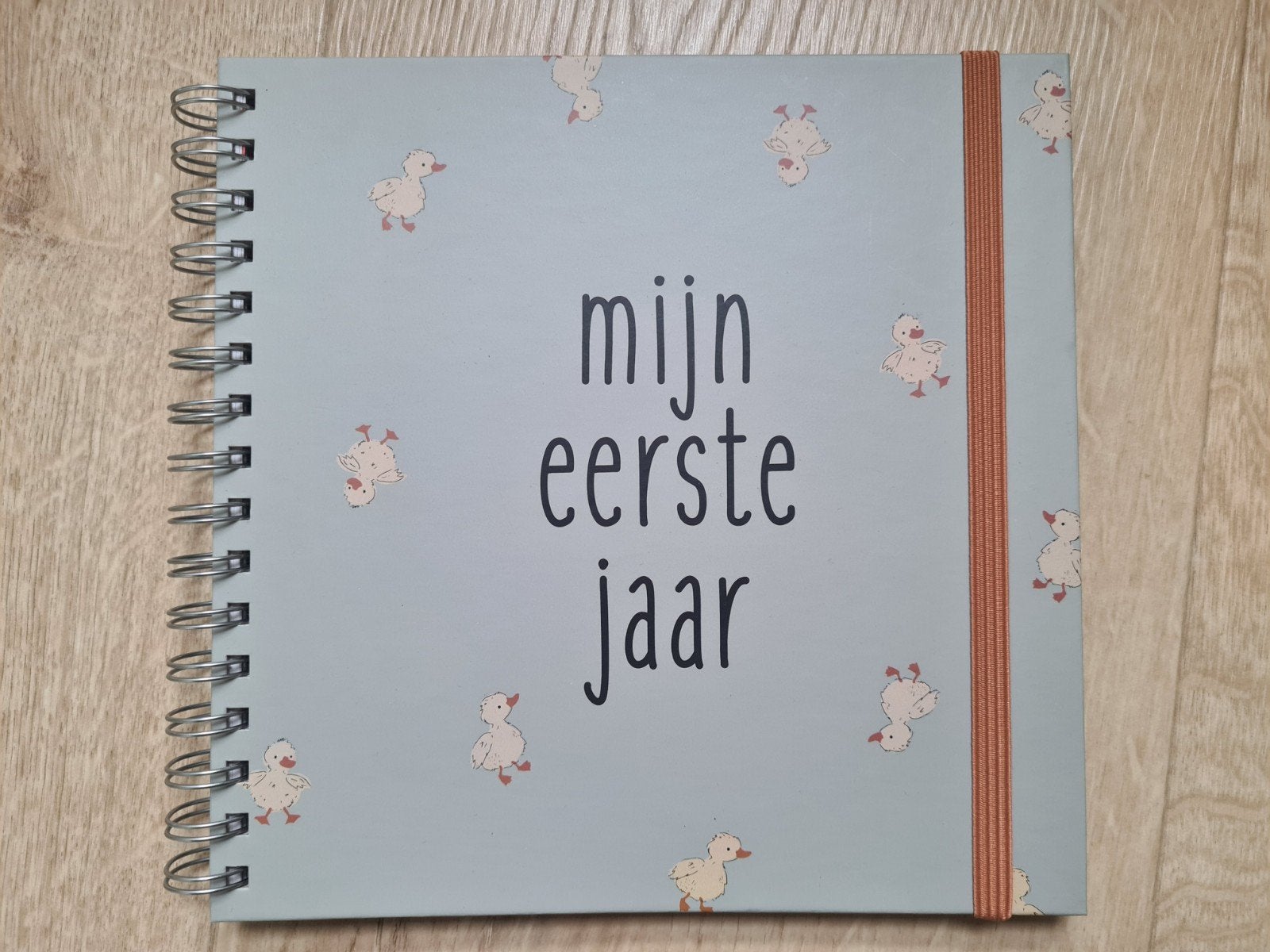 Babyboek Eerste jaar, Ophalen of Verzenden, Nieuw