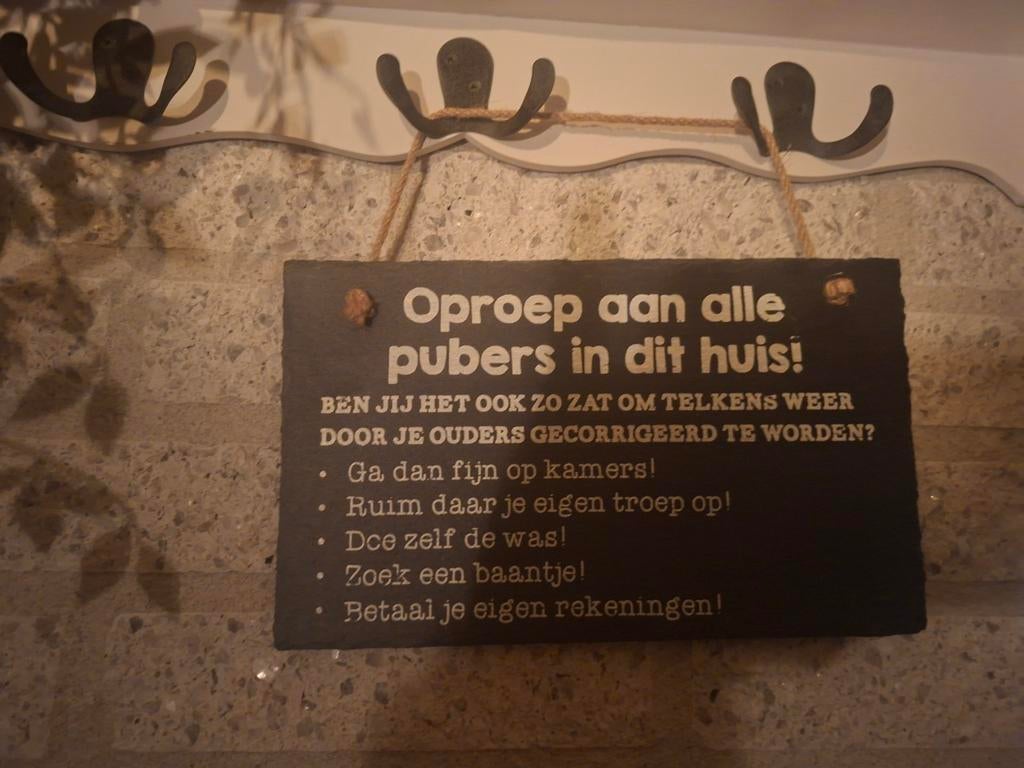 Leuke Leisteen Plaat 'Oproep aan alle pubers in dit huis!', Overige stijlen, Ophalen of Verzenden, Steen/keramiek, Gebruikt
