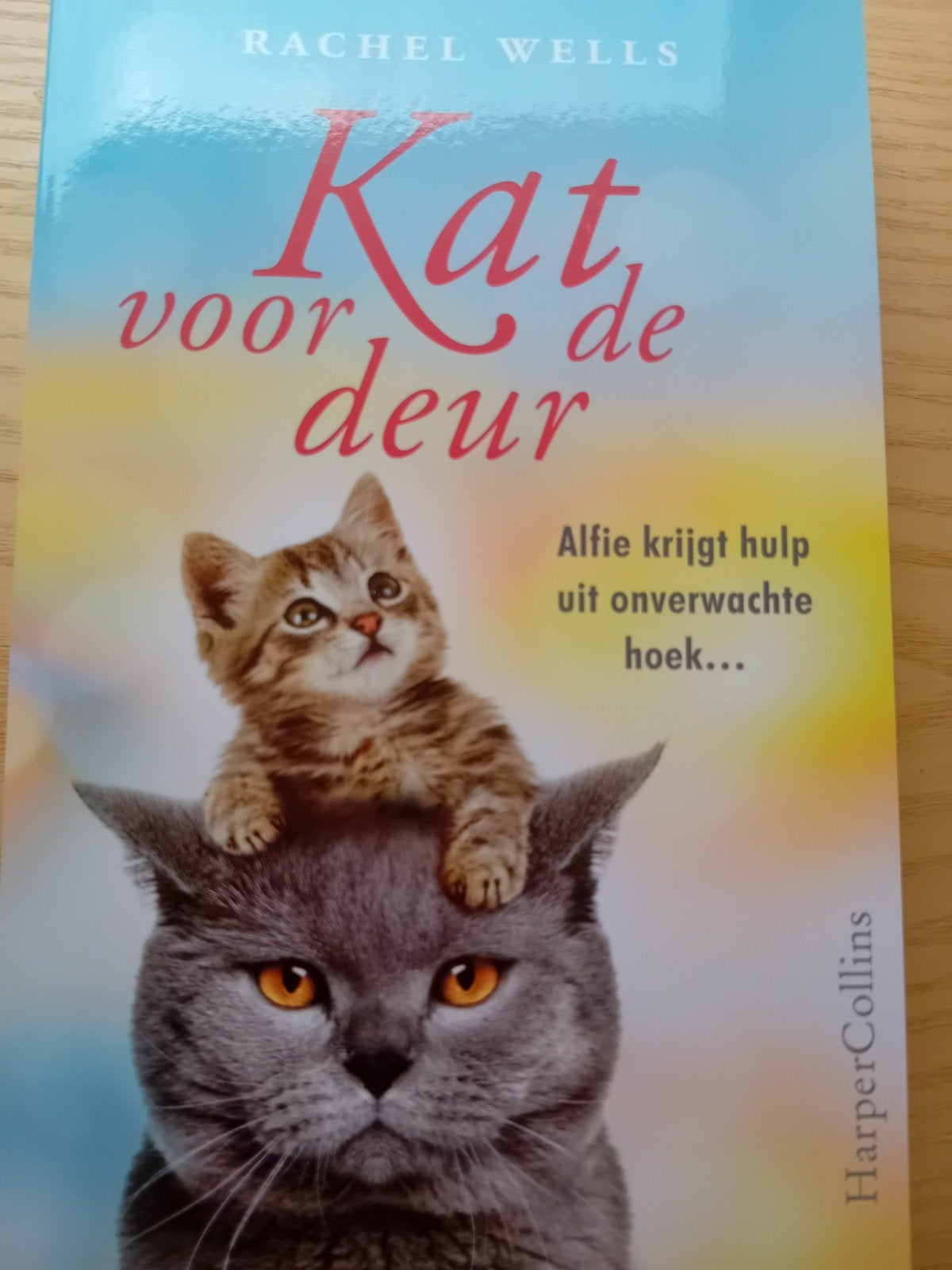 Rachel Wells - Kat voor de deur, Ophalen of Verzenden, Zo goed als nieuw, Rachel Wells