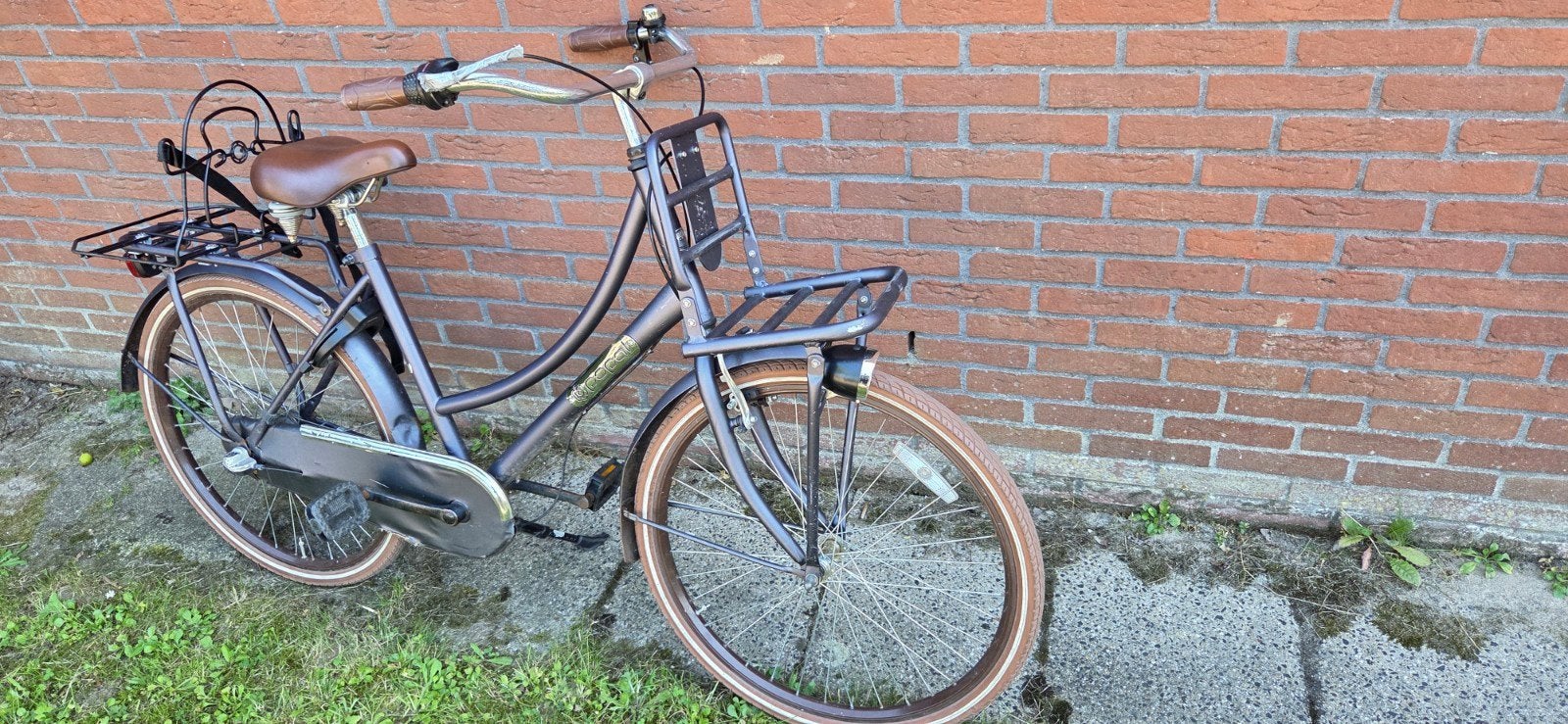 Popal damesfiets, Fietsen en Brommers, Fietsen | Dames | Damesfietsen, Gebruikt, Overige merken, Minder dan 47 cm, Ophalen