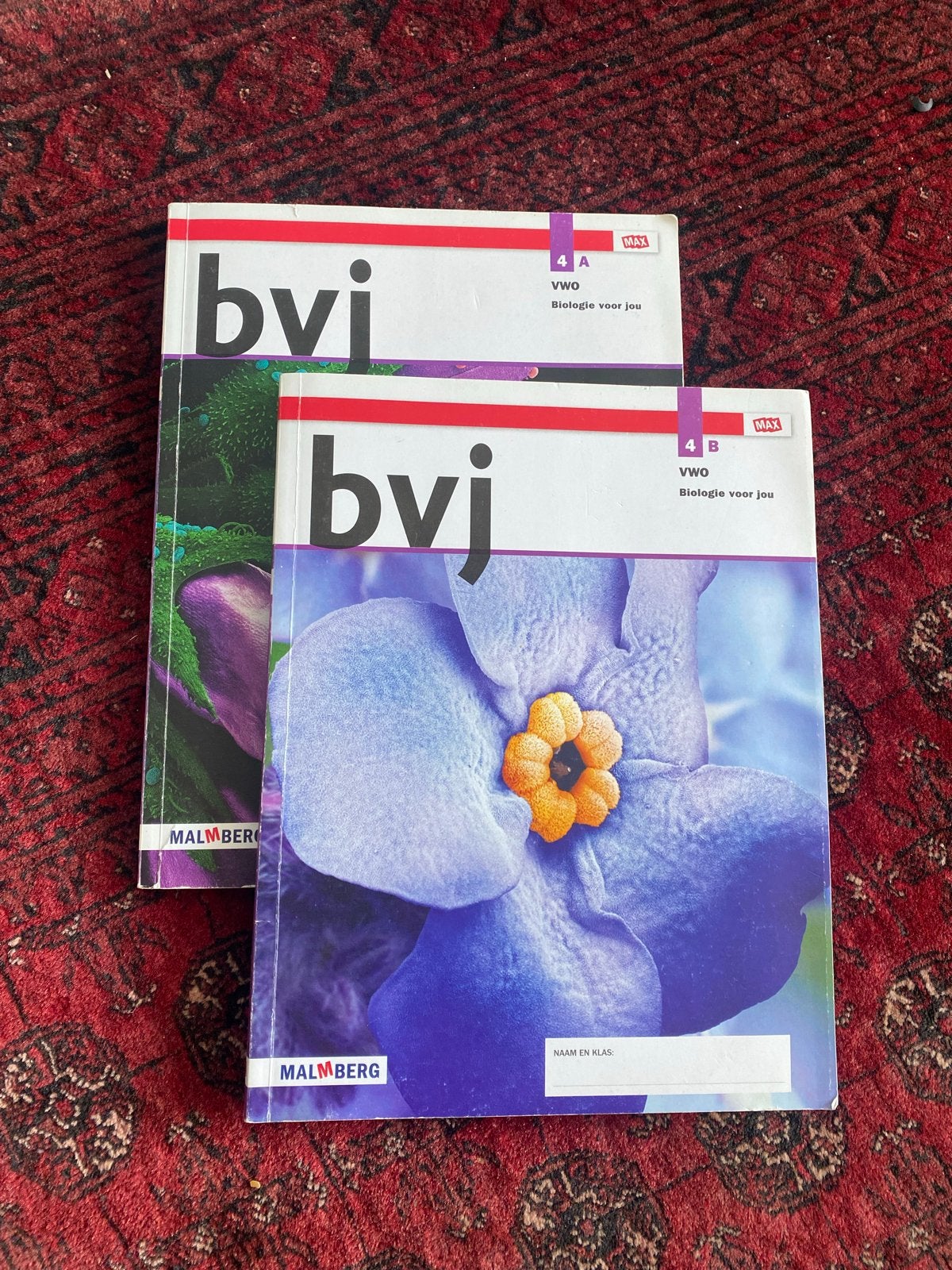 BVJ Biologie voor jou VWO 4, 5 en 6 Malmberg, Ophalen of Verzenden, Gelezen, VWO, Biologie