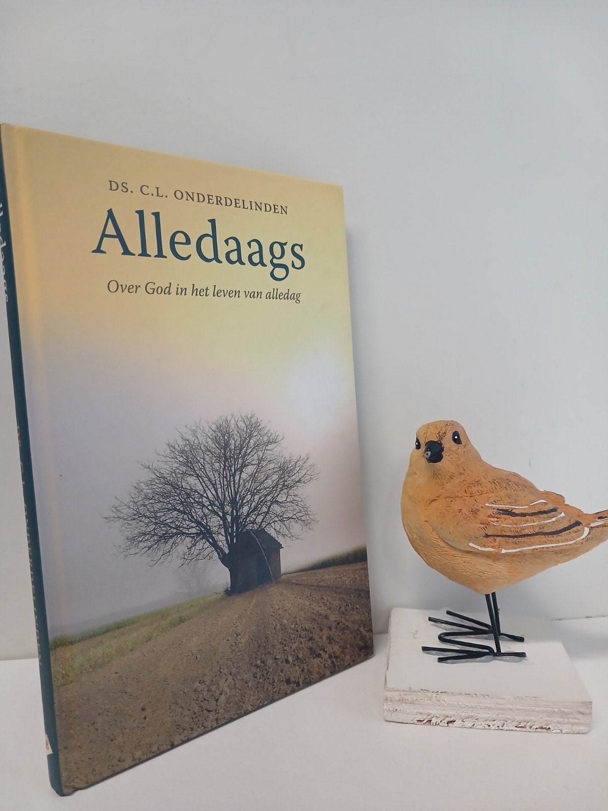 Onderdelinden, Ds. C.L.; Alledaags, Ophalen of Verzenden, Gelezen, Christendom | Protestants
