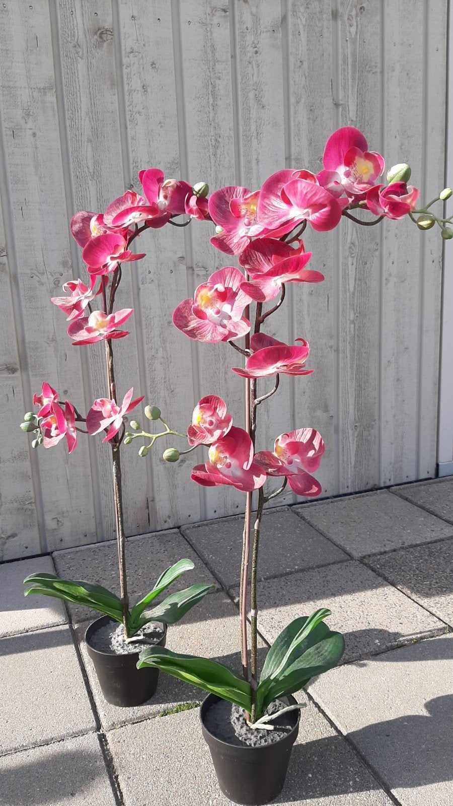 IKEA FEJKA Kunstorchidee - Roze (2 stuks), Ophalen, Binnen, Roze, Met pot of vaas