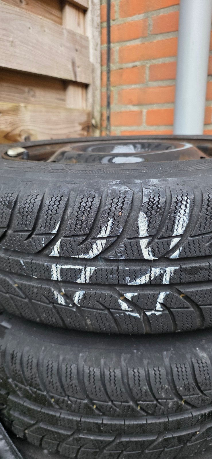 Toyo winterbanden 175/65 R15 88T op stalen velg Suzuki Swift, Ophalen, Gebruikt, 15 inch, 175 mm