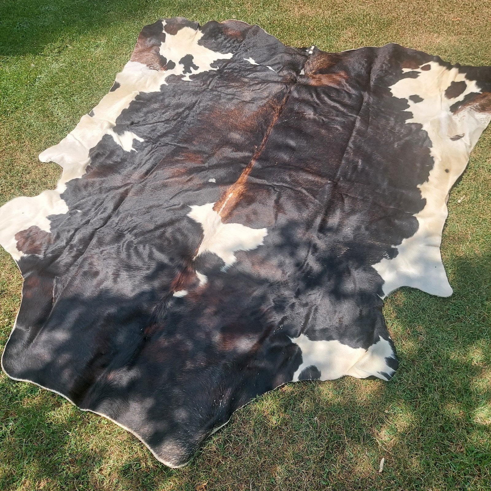 Prachtig driekleurig koeienvel - 260x200cm, Gebruikt, Ophalen of Verzenden, Natuurlijk, Rustiek, Luxe, 200 cm of meer