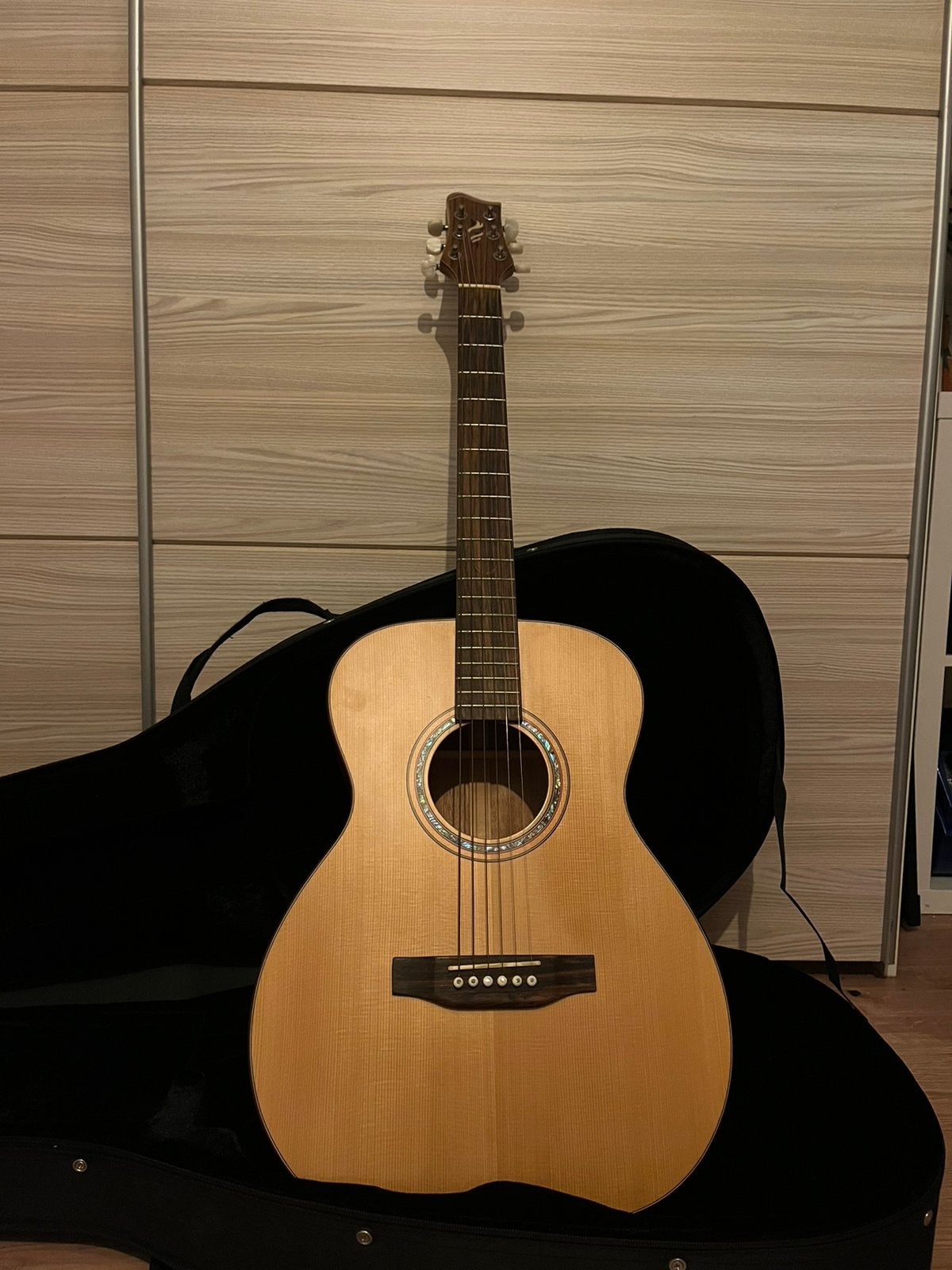 Akoestisch gitaar NIEUW met koffer, Muziek en Instrumenten, Snaarinstrumenten | Gitaren | Akoestisch, Ophalen of Verzenden, Nieuw
