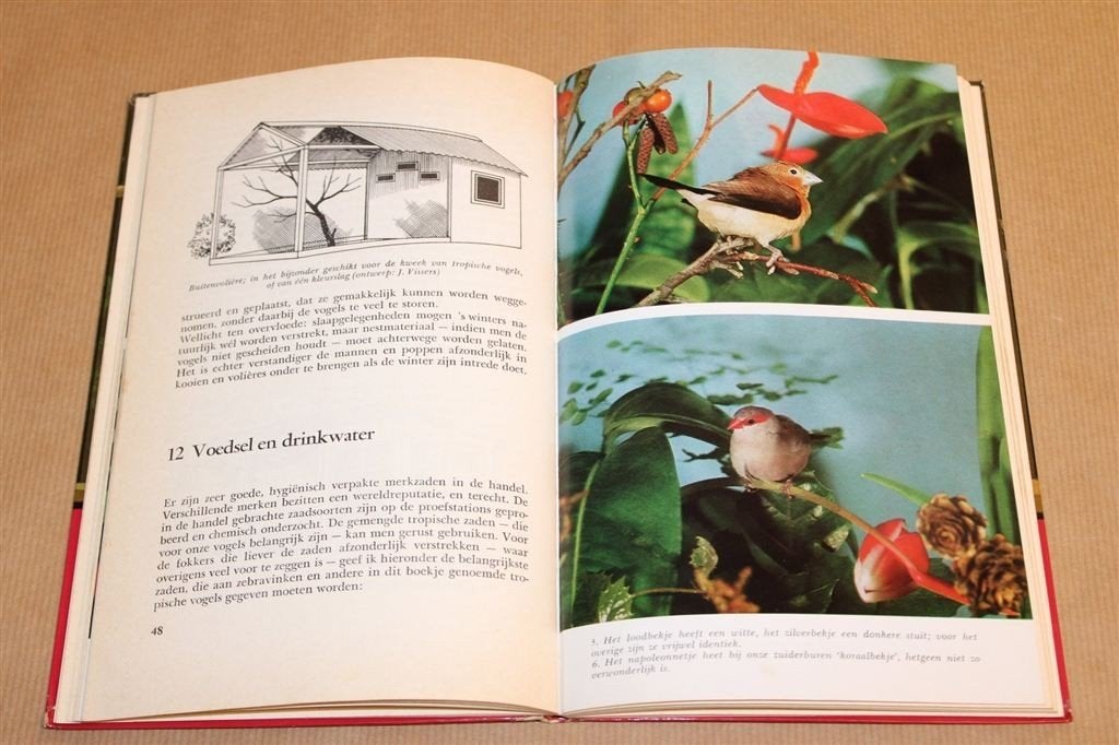 Zebravinken — Gids voor Kleine Exoten — Thijs Vriends, Ophalen of Verzenden, Gelezen, Vogels