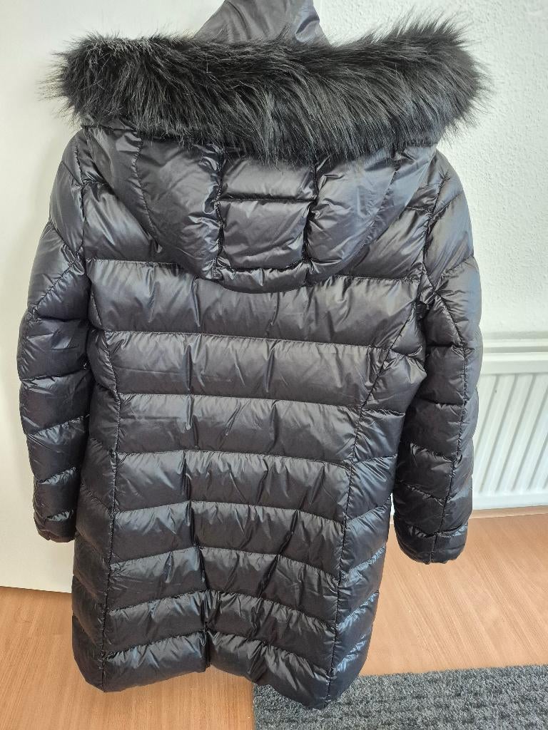 Winter jas Tommy Hilfiger, Kleding | Dames, Jassen | Winter, Zwart, Maat 42/44 (L), Nieuw, Ophalen of Verzenden