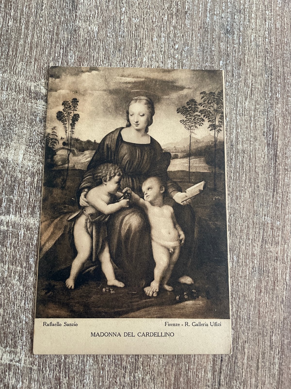 Oude ansichtkaart - Madonna del Cardellino - Raffaelo Sanzio, Ophalen of Verzenden, Ongelopen, Italië