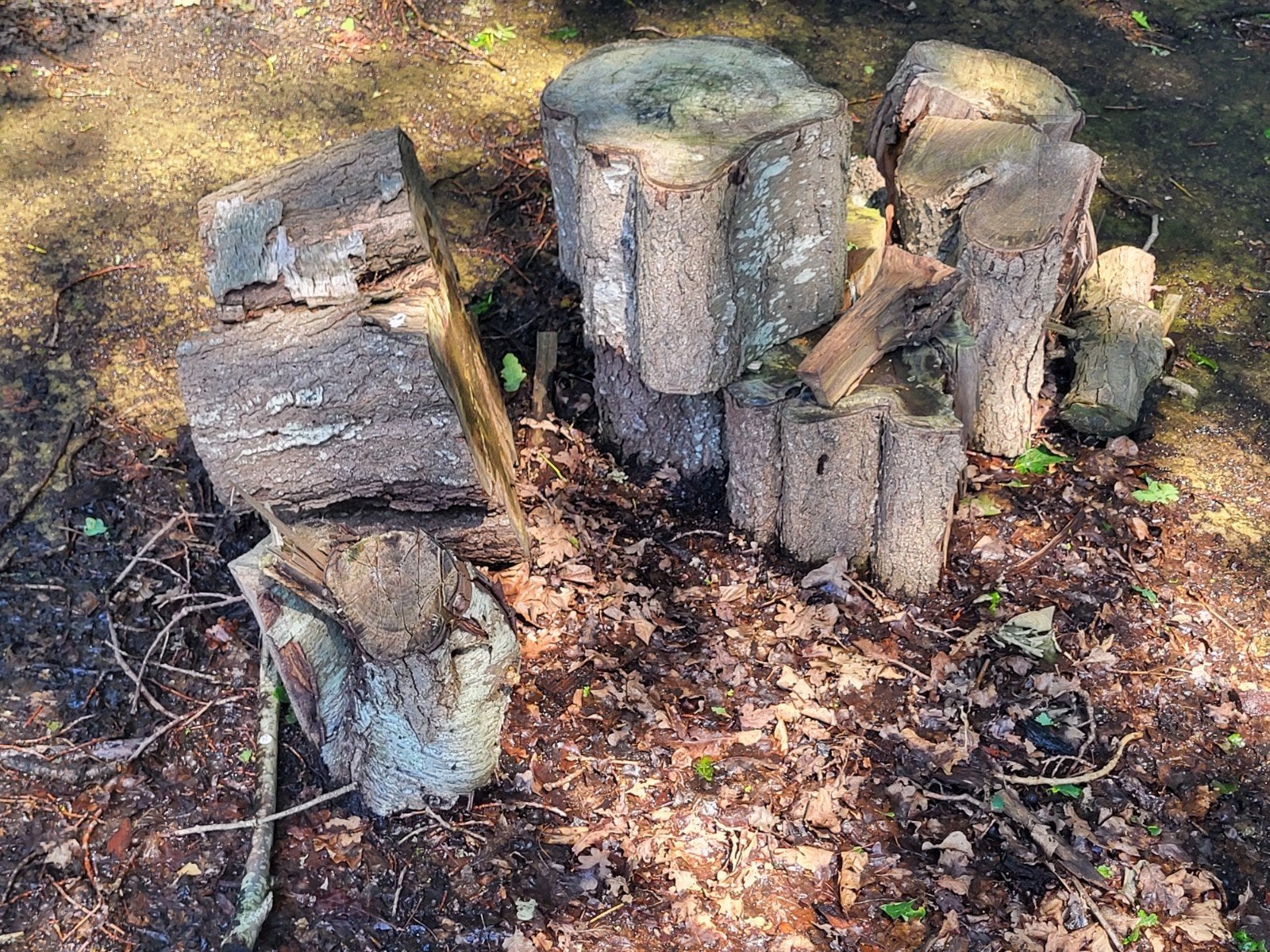 Diverse houtblokken en stammen voor brandhout, Tuin en Terras, Haardhout, Minder dan 3 m³, Ophalen of Verzenden, Berkenhout, Blokken