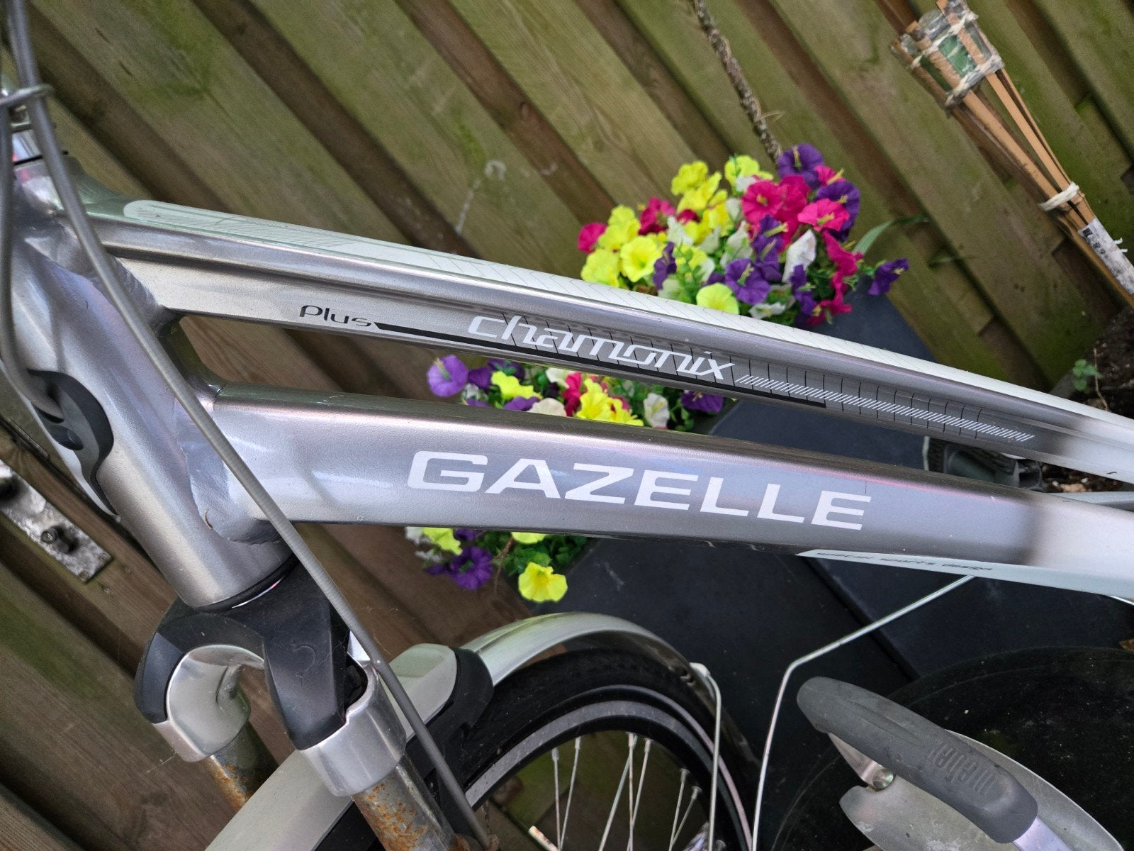 Gazelle Chamonix Plus Damesfiets - Goede Staat, Ophalen, Velgrem, Versnellingen, Gazelle