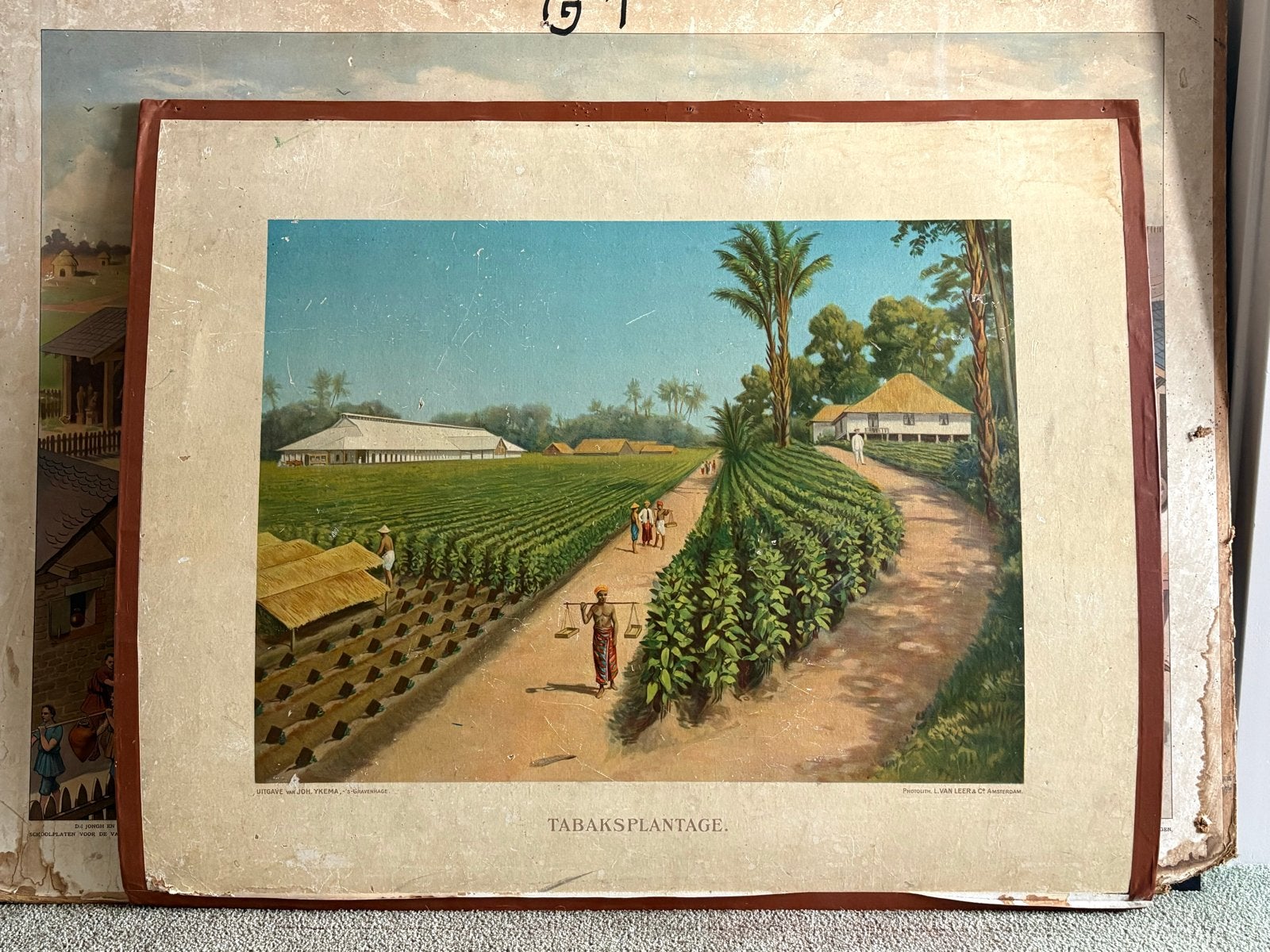 Vintage schoolplaten: Geschiedenis, Natuur, Aardrijkskunde, Ophalen of Verzenden, Overige thema's