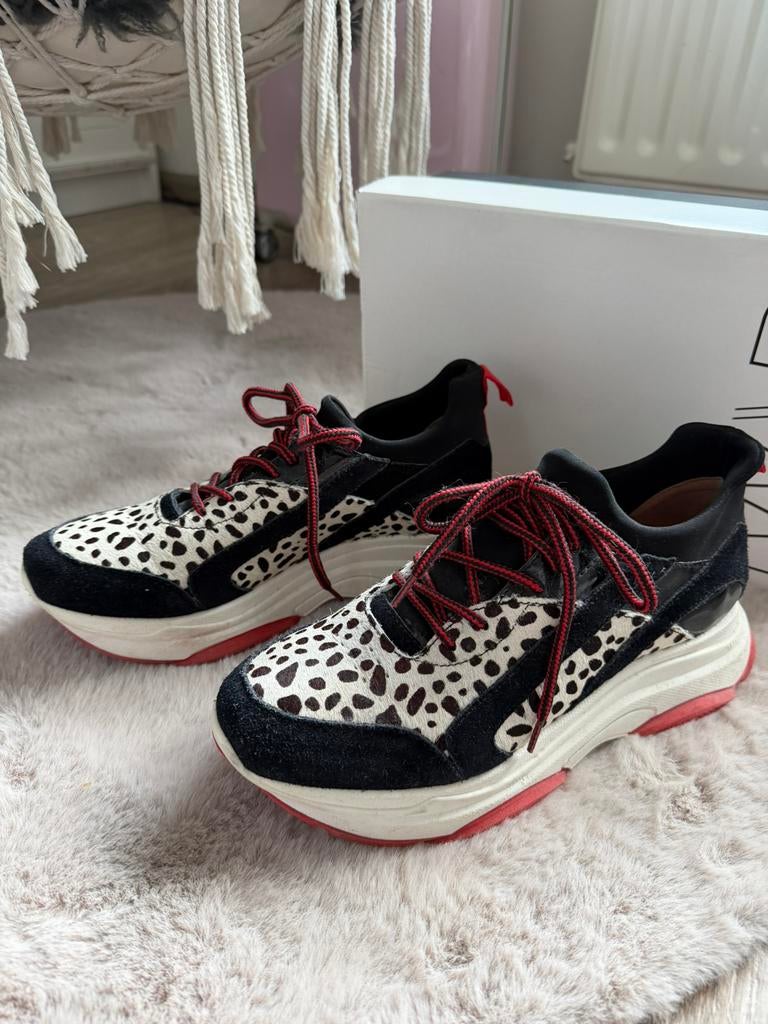 Dwars Pony Cheeta sneakers maat 40 - zo goed als nieuw, Ophalen of Verzenden, Zo goed als nieuw, Sneakers of Gympen