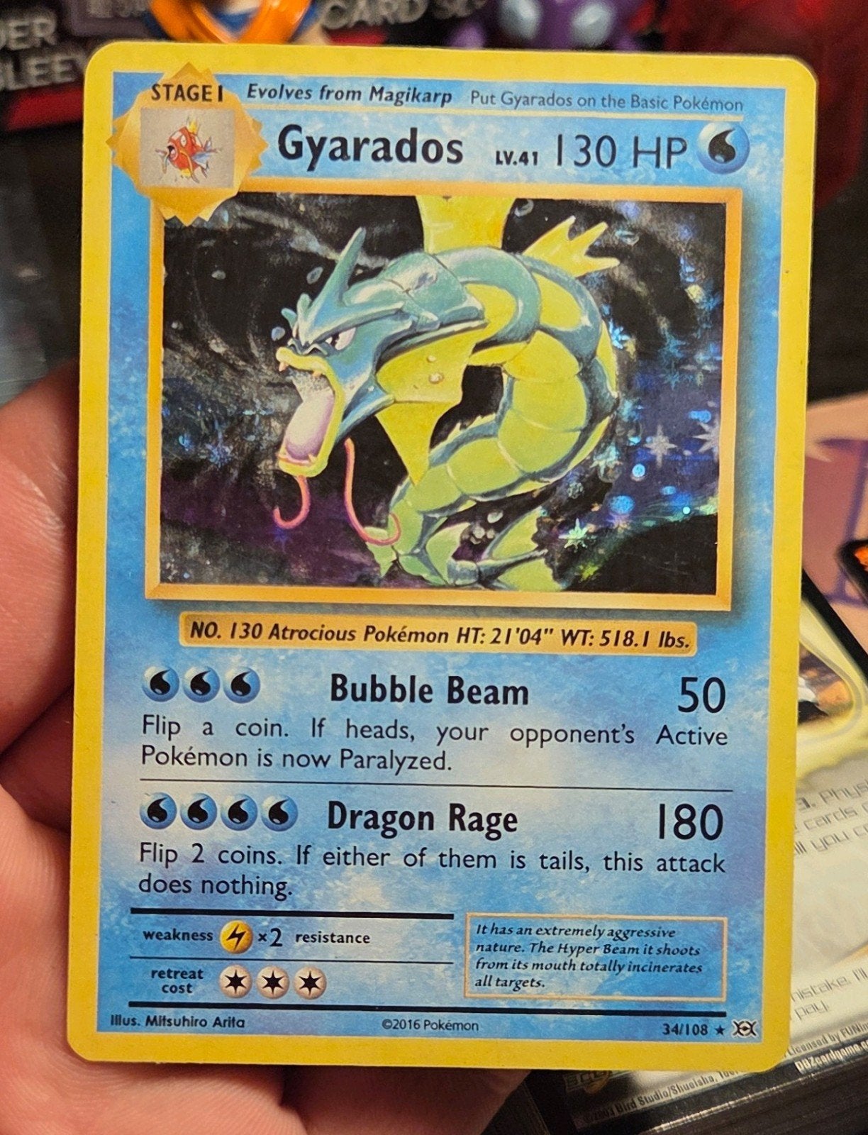 Gyarados 34/108 Evolutions Holo - PL, Ophalen of Verzenden