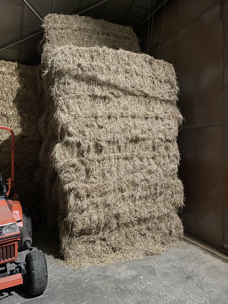 Grote Balen Engelsraai Graszaadhooi, Ophalen of Verzenden, Vee