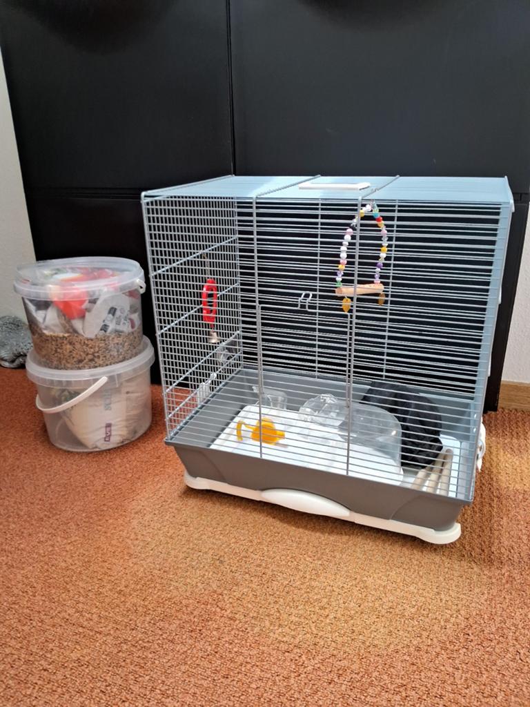 Mooie vogelkooi, Ophalen, Zo goed als nieuw, Metaal, Vogelkooi