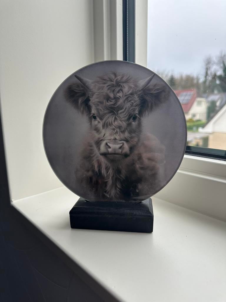 Glas decoratie met schotse hooglander, Ophalen of Verzenden, Zo goed als nieuw, Minder dan 50 cm, Schilderij