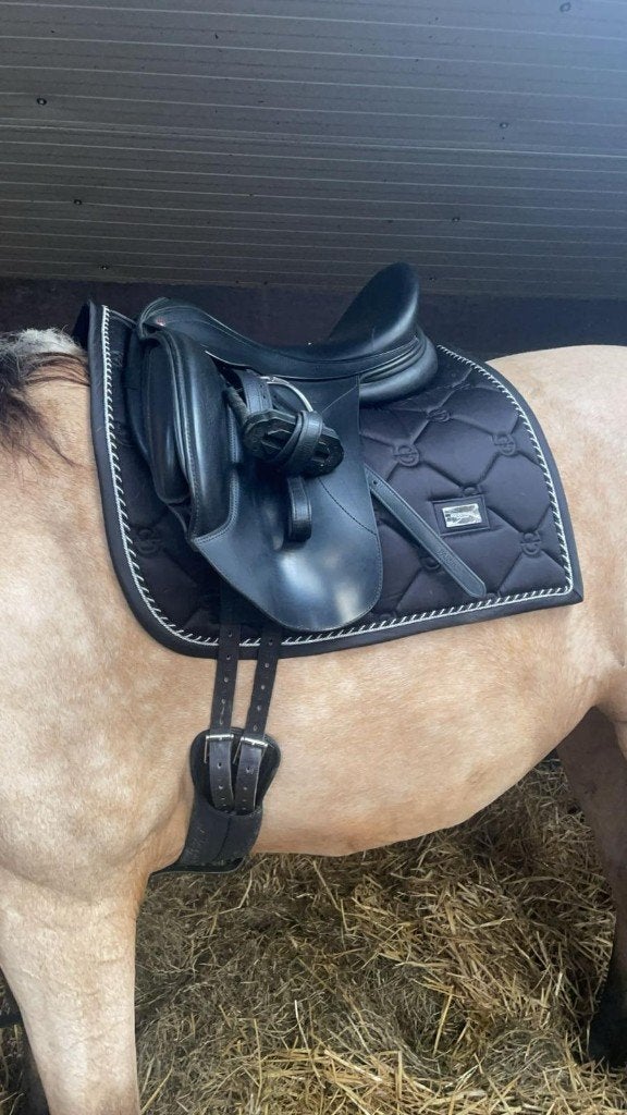 Paardenzadel / Dressuur, Dieren en Toebehoren, Ophalen, L (17.5 inch), Dressuur, Overige merken