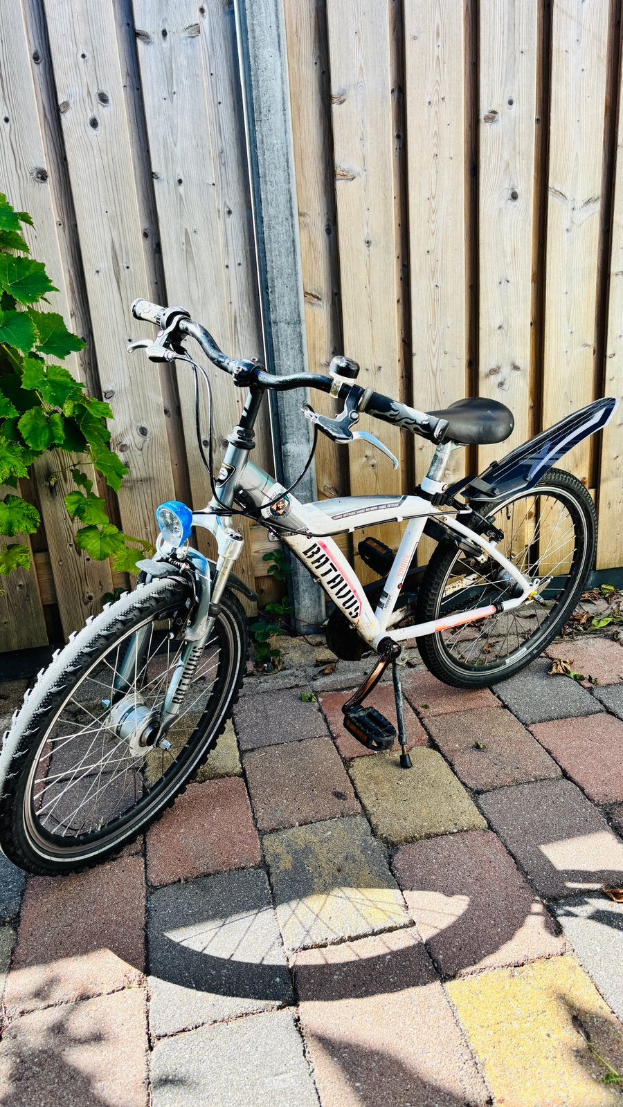 Batavus kinderfiets 12 inch met nieuwe achterband, Fietsen en Brommers, Ophalen, Terugtraprem, Gebruikt, 14 inch of minder