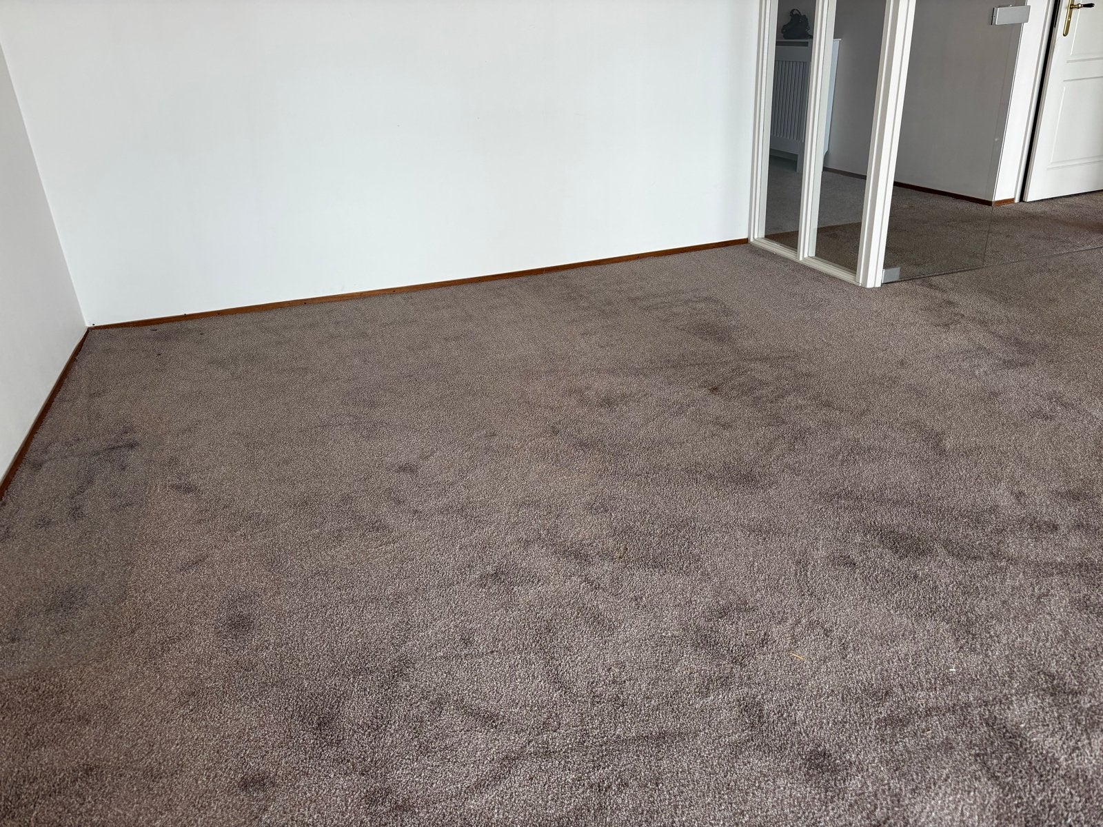 Gratis af te halen: Hoogpolig tapijt in taupe kleur, Huis en Inrichting, Ophalen, Gebruikt, Beige, 50 tot 75 m²