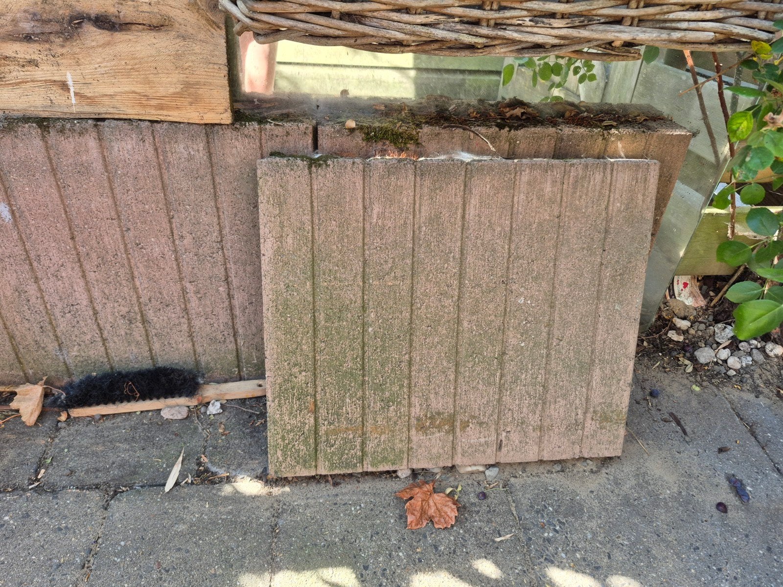 Opsluitband Stonewish Palissade Quadroband Bruin 6x40x50, Ophalen, Gebruikt, Beton, Overige typen