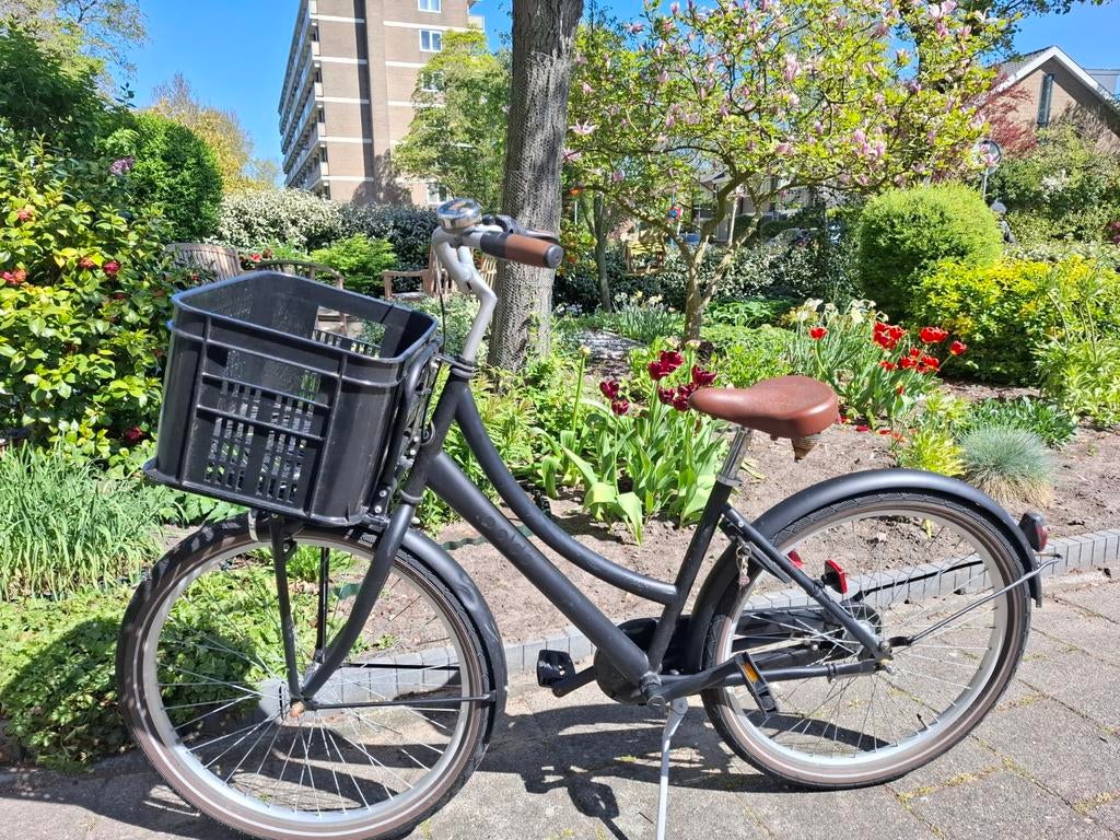 Aldo Cargo fiets meisjes, Fietsen en Brommers, Fietsen | Meisjes, Ophalen, Gebruikt, Terugtraprem, Overige merken