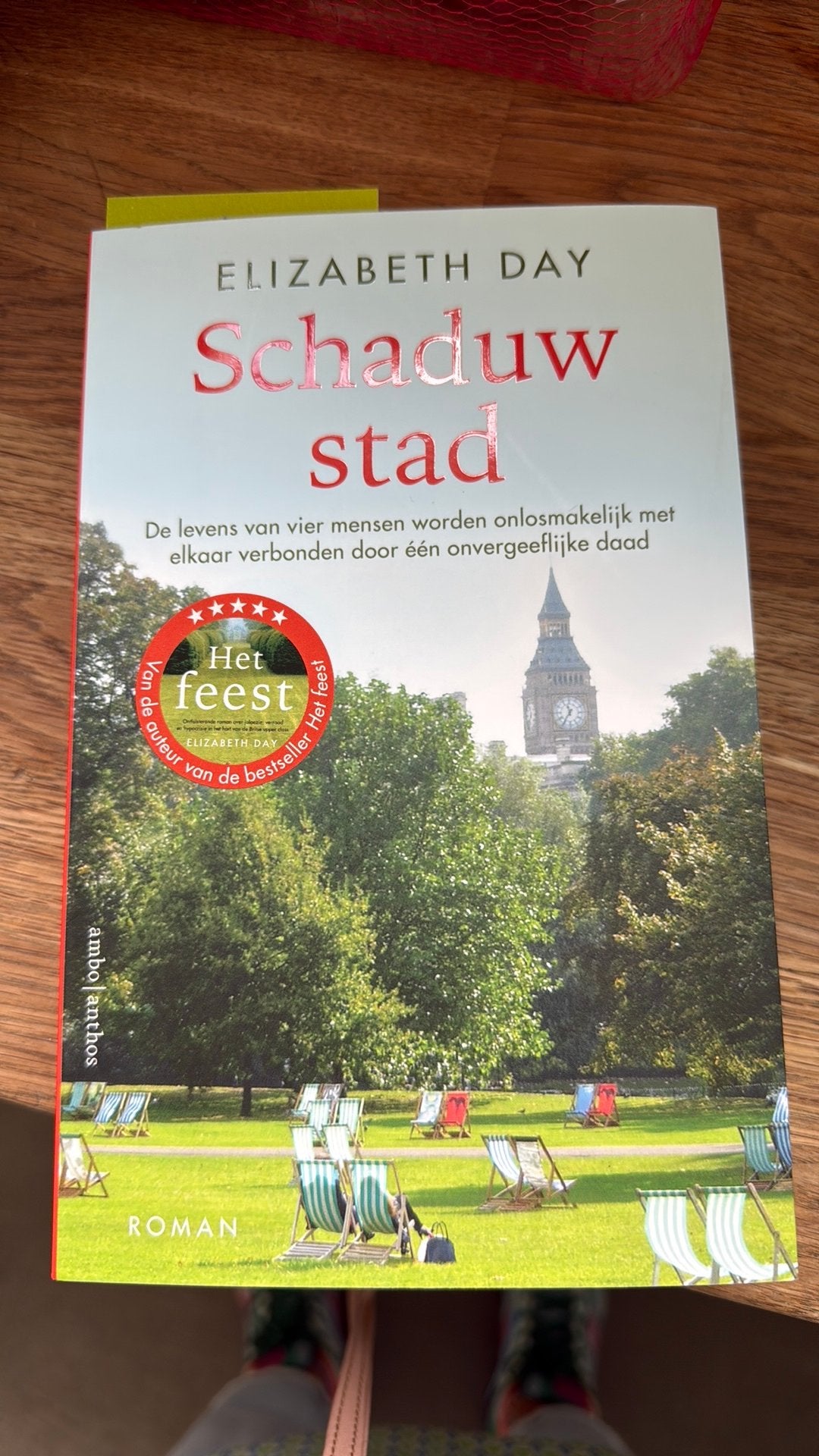 Elizabeth Day - Schaduwstad, Ophalen of Verzenden, Zo goed als nieuw, Elizabeth Day