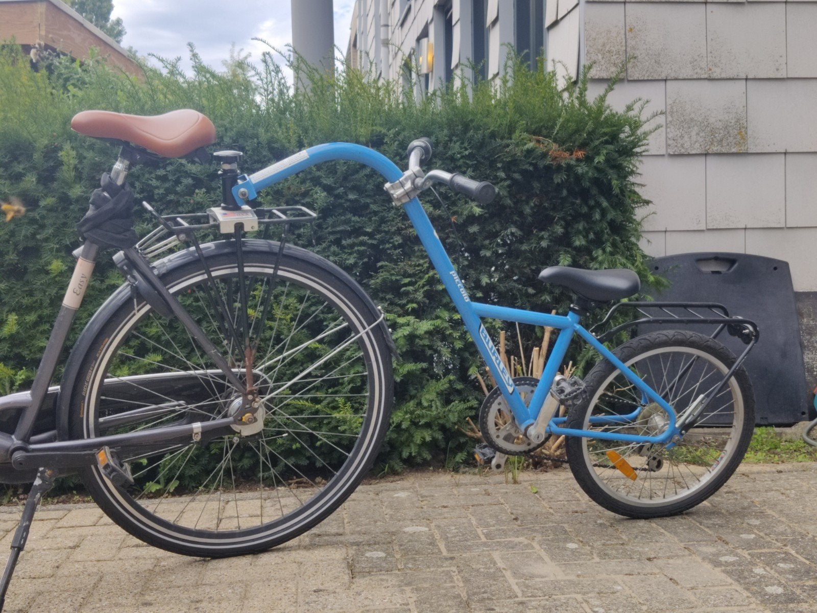 Aanhangfiets Burley Piccolo 20 inch, 6 versnellingen, Ophalen, Gebruikt, 20 inch of meer, Burley