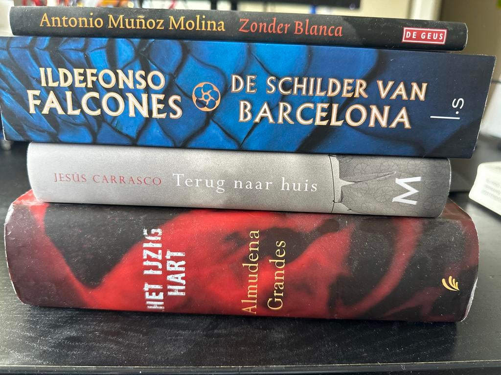 Literaire romans – o.a. Falcones, Grandes, Carrasco, Ophalen of Verzenden, Gelezen, Europa overig