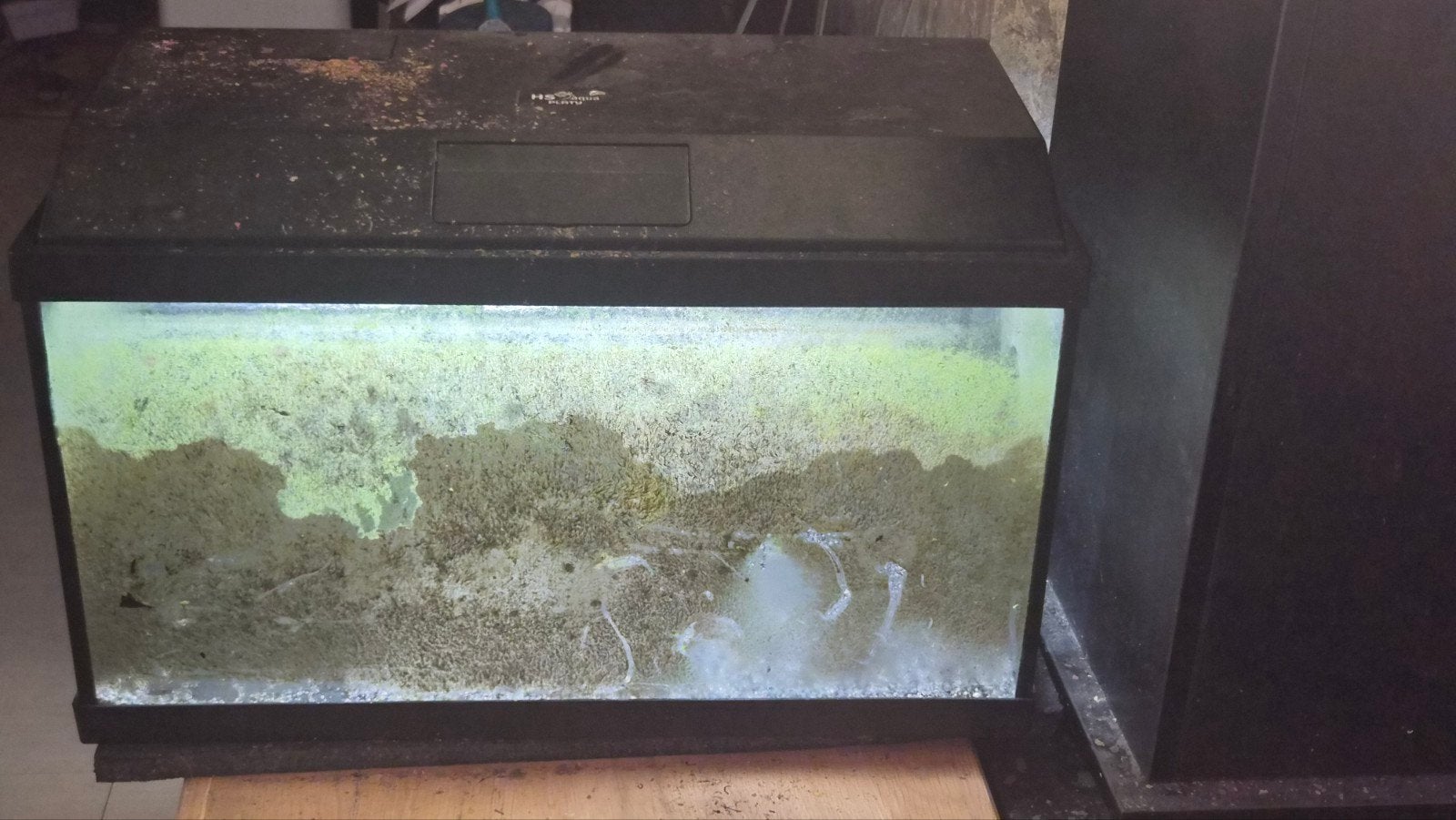 Gratis aquaria afhalen., Ophalen, Gebruikt, Leeg aquarium