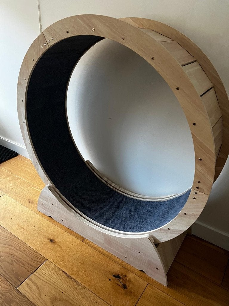 Katten Loopwiel XL, Ophalen, Zo goed als nieuw, Overig speelgoed