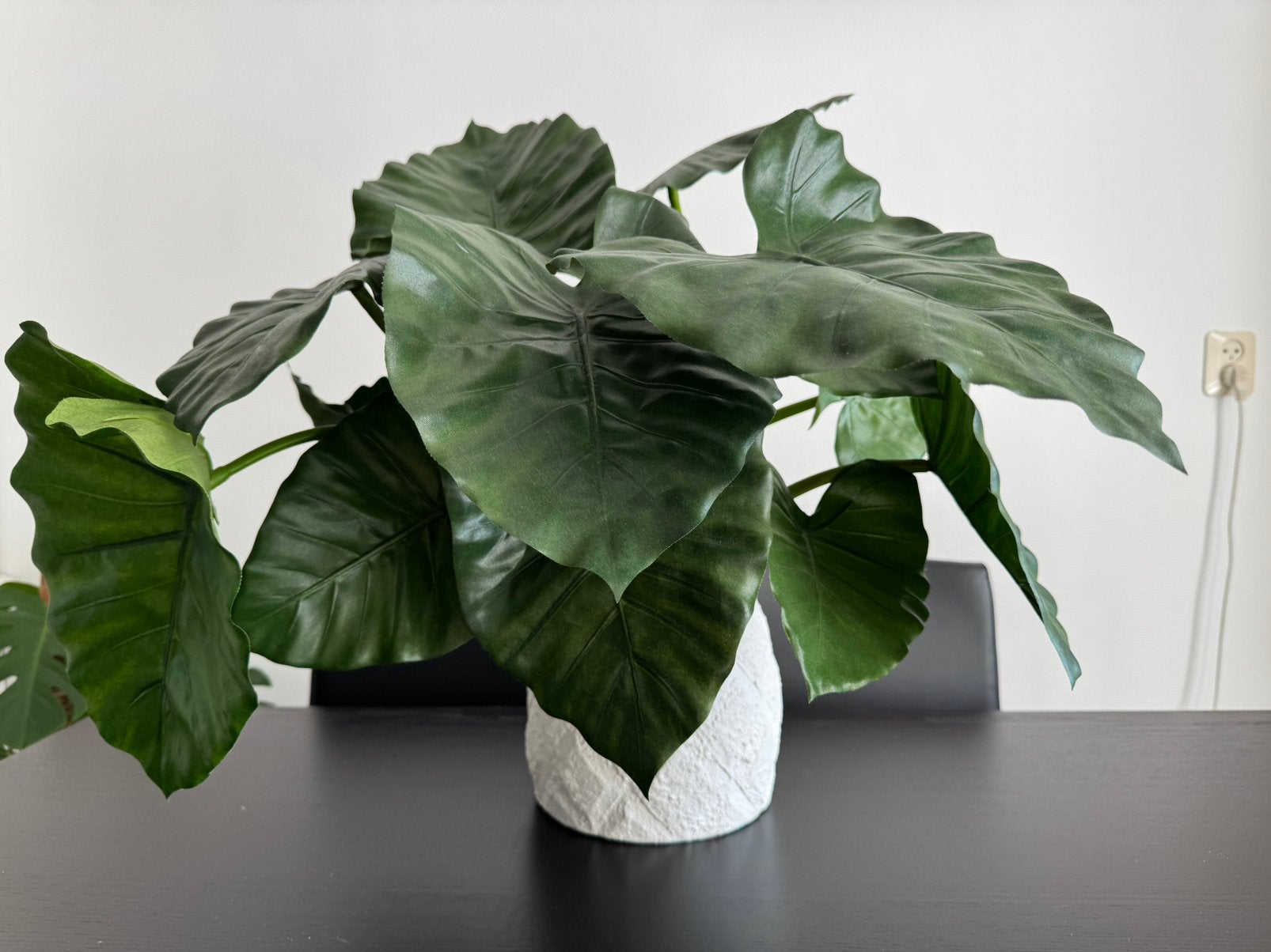 Decoratieve kunstplant, Ophalen, Volledige schaduw, Overige soorten, In pot