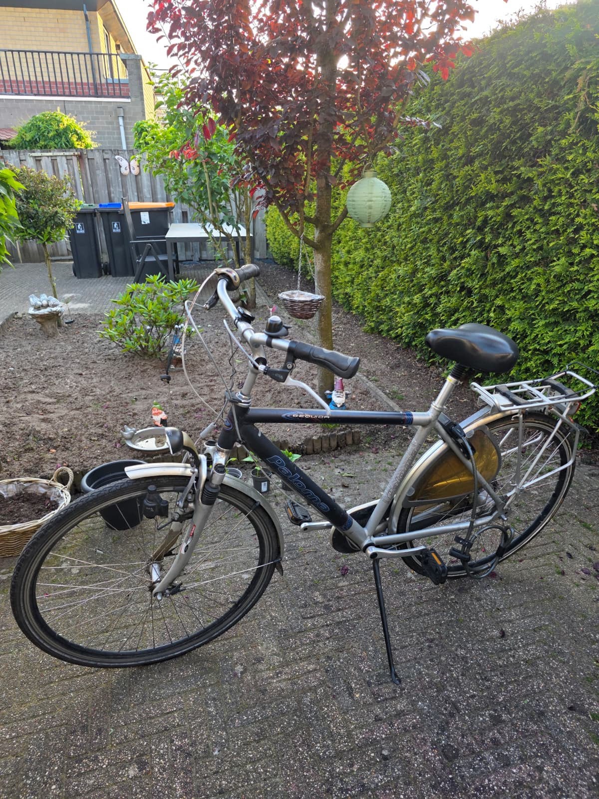 Paloma Sequoia herenfiets (Frame 50) - 7 versnellingen, Versnellingen, 49 tot 53 cm, Zo goed als nieuw, Ophalen