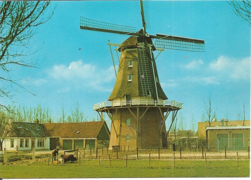 Ansichtkaart Stiens, Molen "De Hoop", Ophalen of Verzenden, 1960 tot 1980, Gelopen, Friesland