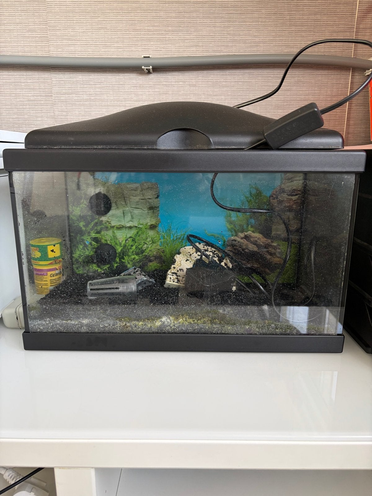 Aquarium, Ophalen, Gebruikt, Leeg aquarium