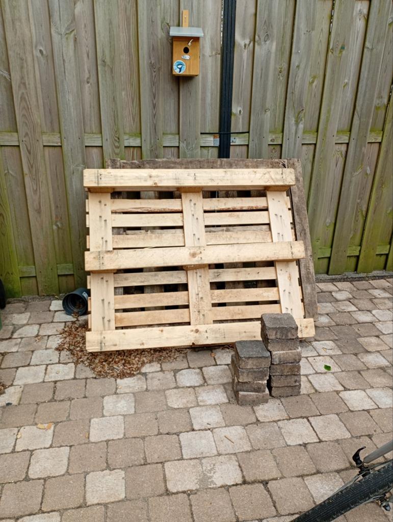 GRATIS pallets, Ophalen, Overige houtsoorten, Minder dan 200 cm, Pallet