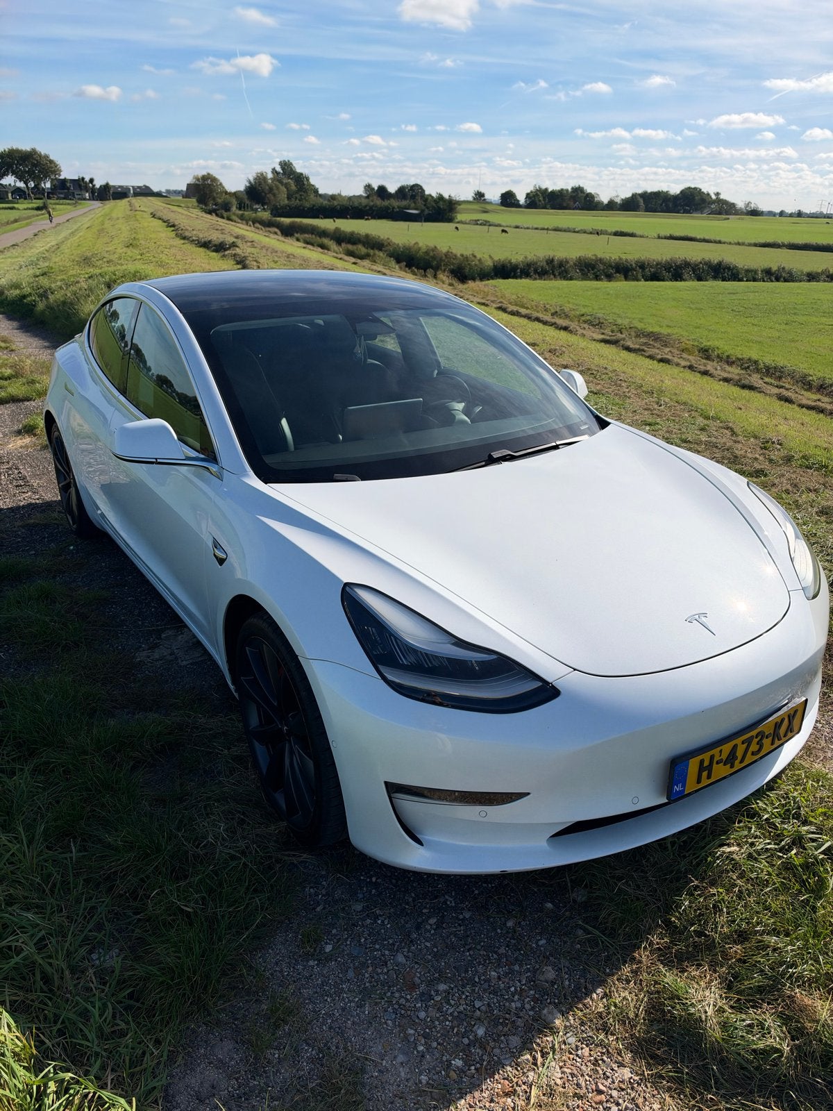 Foto 6 van Tesla Model 3 2020 Wit Performance BTW auto