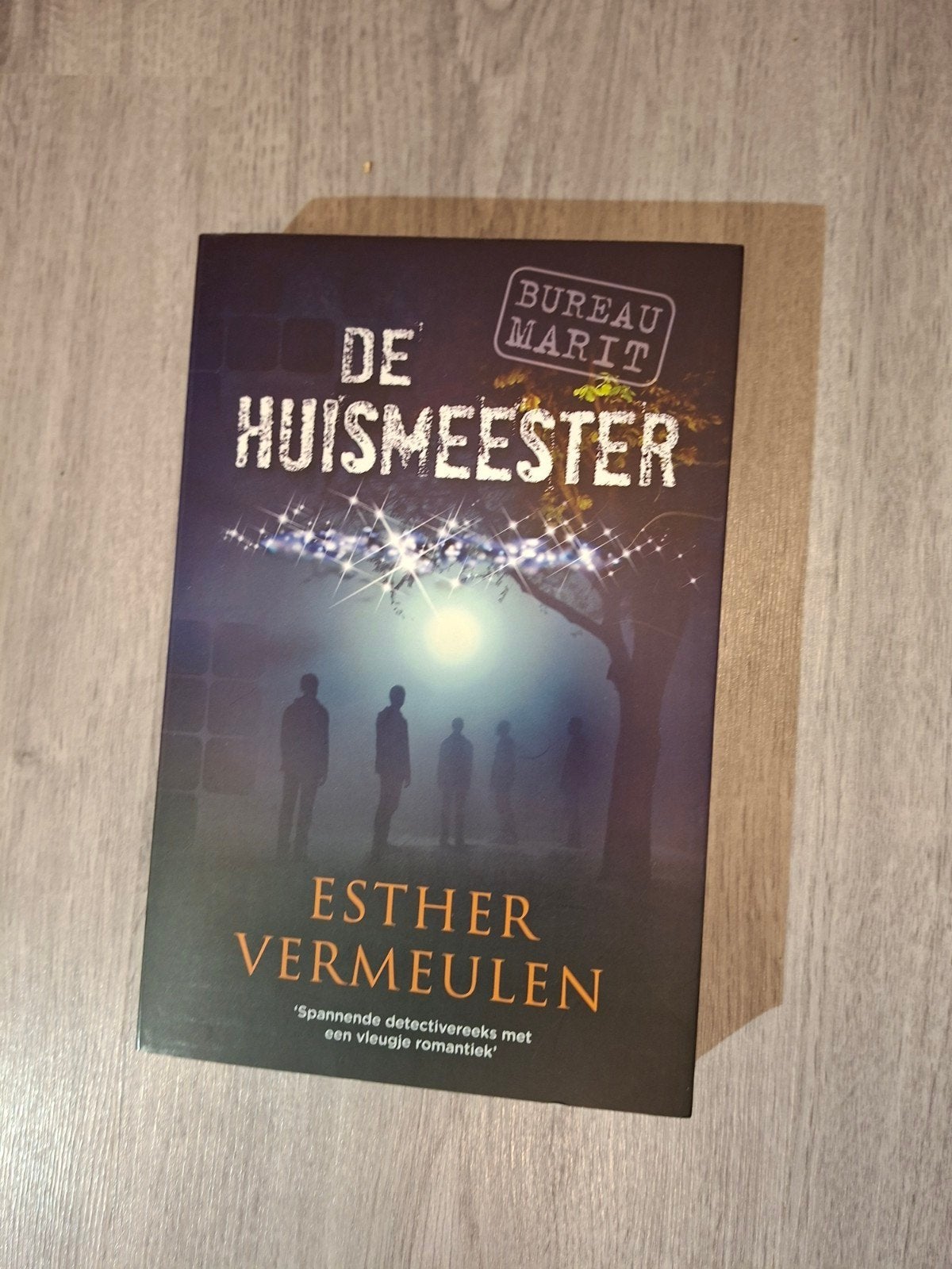 De Huismeester - Esther Vermeulen (Bureau Marit), Ophalen of Verzenden, Zo goed als nieuw, Esther Vermeulen