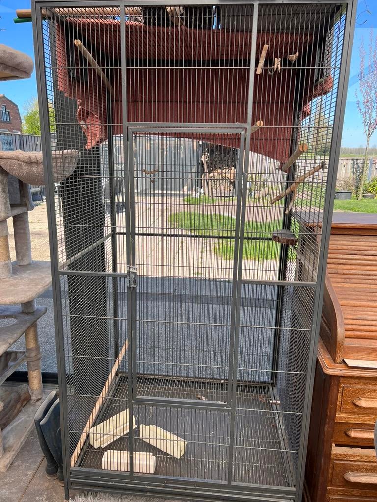 Grote vogelkooi, Dieren en Toebehoren, Ophalen of Verzenden, Zo goed als nieuw, Metaal, Vogelkooi
