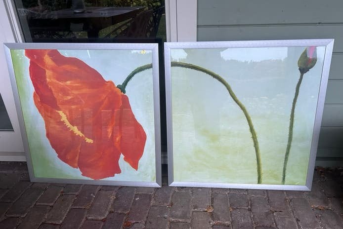 2 schilderijen (poster) klaprozen, Ophalen