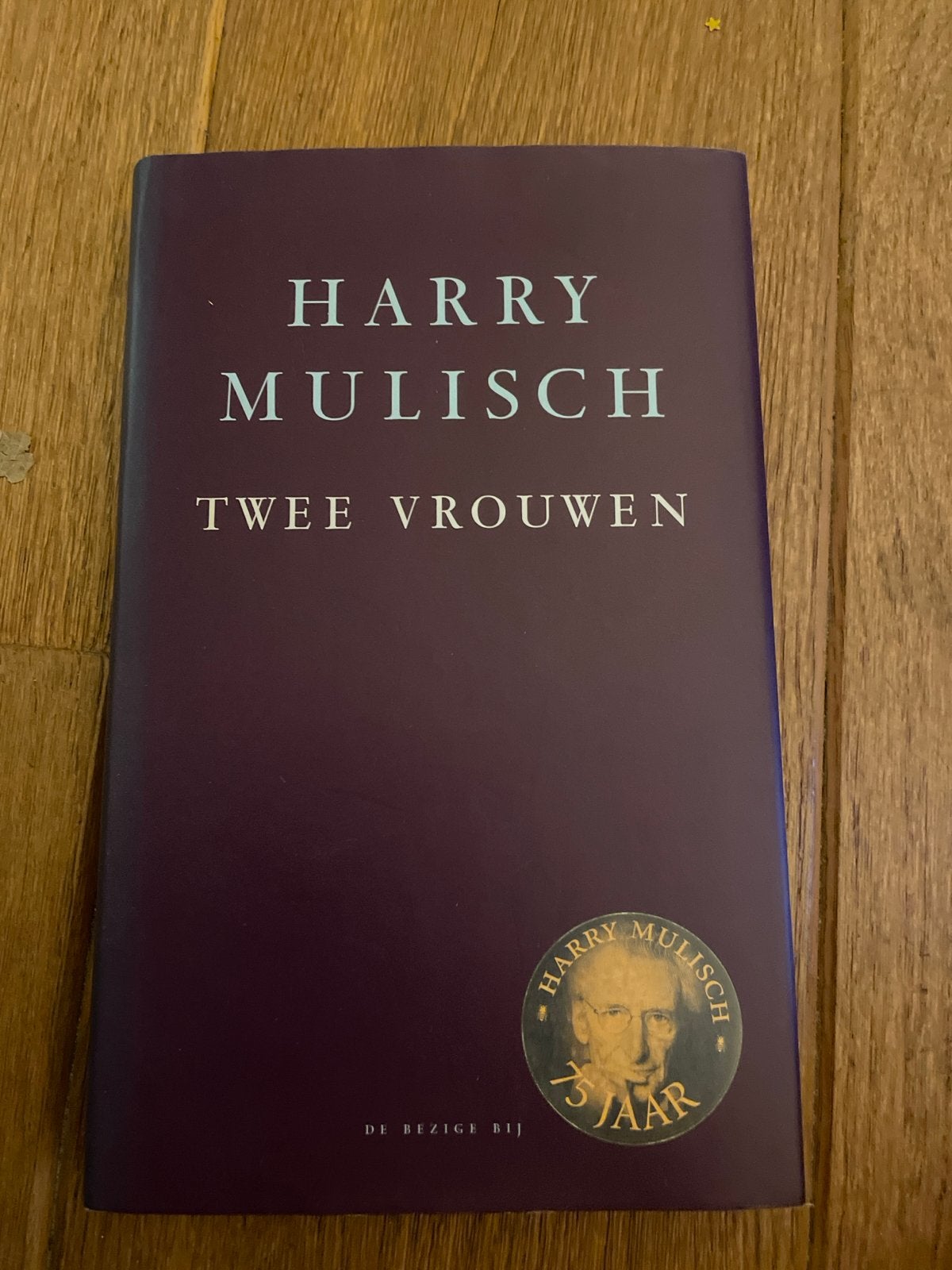Harry Mulisch - Twee Vrouwen (De Bezige Bij), Boeken, Ophalen of Verzenden, Zo goed als nieuw, Nederland