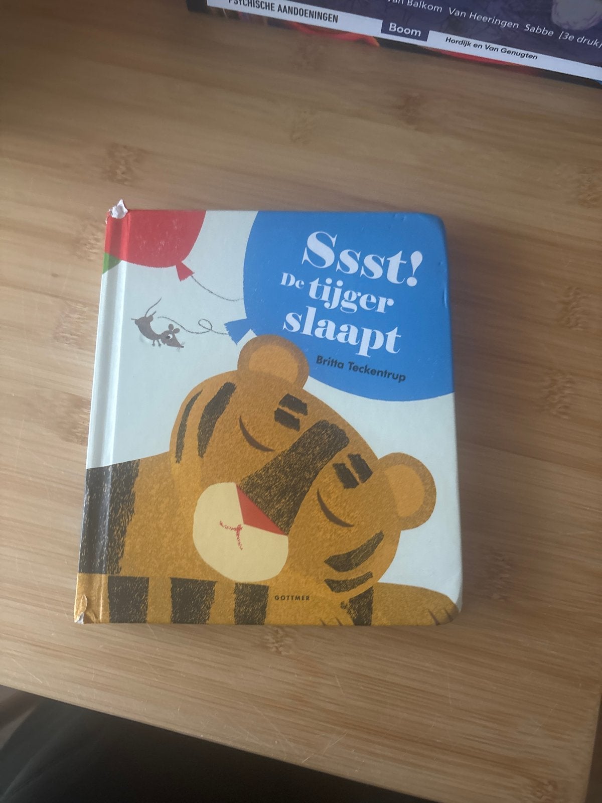 Ssst! De tijger slaapt - Britta Teckentrup, Boeken, Ophalen of Verzenden, Zo goed als nieuw, 2 tot 3 jaar