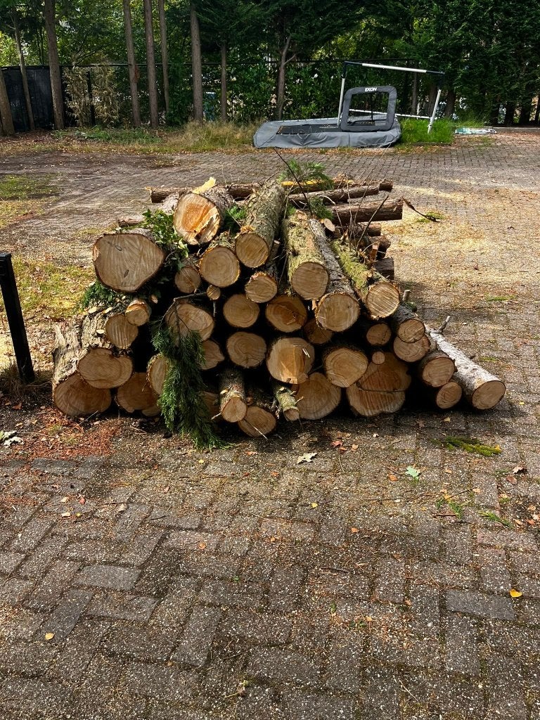 Hardhout / stamhout van dennenbomen – ca. 2 tot 2,5 m³, Tuin en Terras, Haardhout, Minder dan 3 m³, Ophalen, Overige houtsoorten