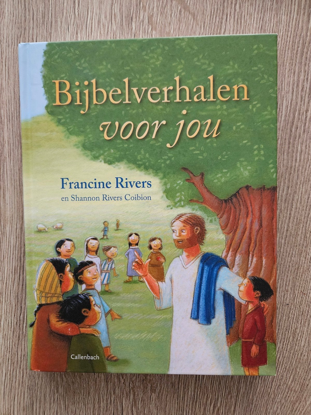 Francine Rivers & S Rivers Coibion - Bijbelverhalen voor jou, Fictie algemeen, S. Rivers Coibion; Francine Rivers, Ophalen of Verzenden
