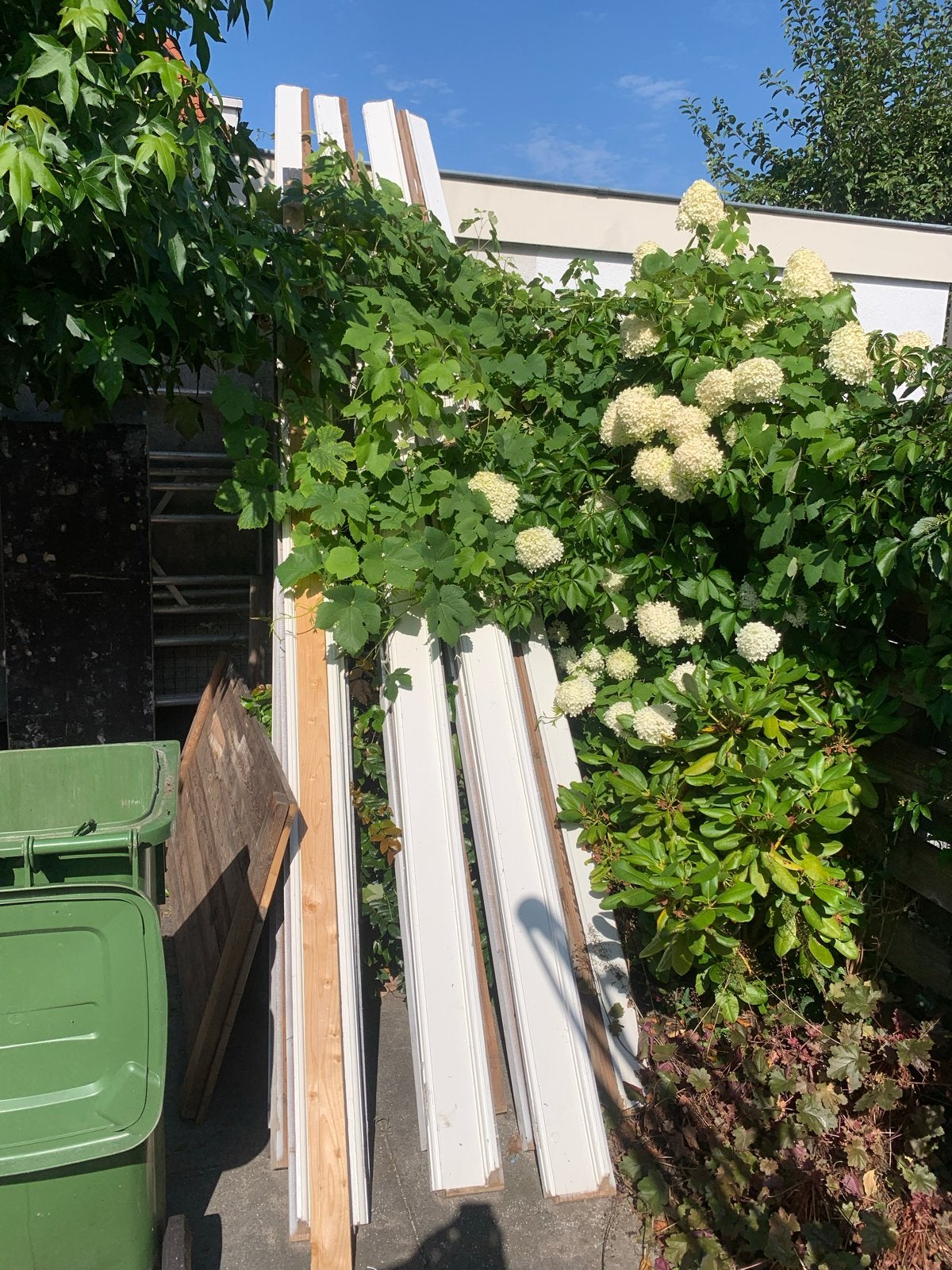 Massief houten plafond sierbalken (10 stuks), Doe-het-zelf en Verbouw, Hout en Planken, Ophalen, Gebruikt, Balk, Overige houtsoorten